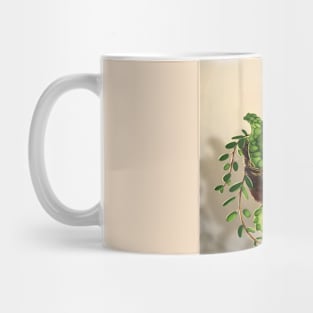 Succulent dragon Mug